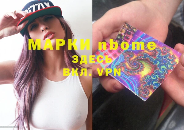 индика Богородск