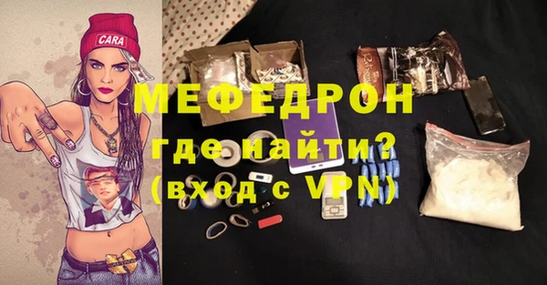 индика Богородск
