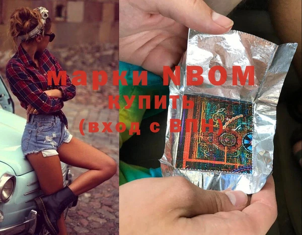 индика Богородск