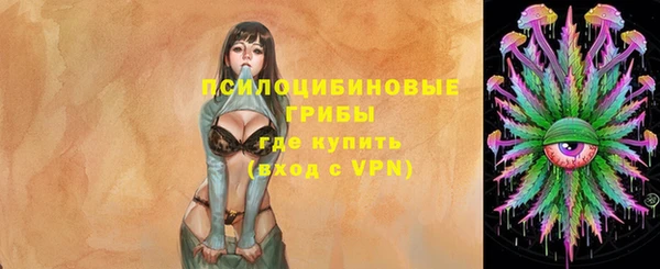 ГАЛЛЮЦИНОГЕННЫЕ ГРИБЫ Белокуриха