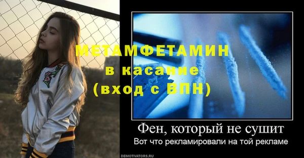 индика Богородск