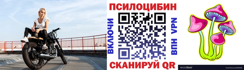 Псилоцибиновые грибы Psilocybine cubensis  Белёв 
